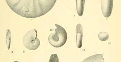 Medicine bottles and science equipment