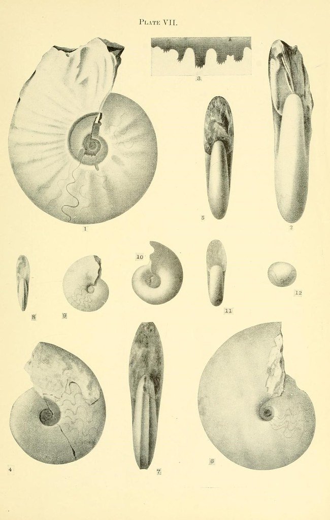 Medicine bottles and science equipment