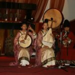 Musical instrument at a concert