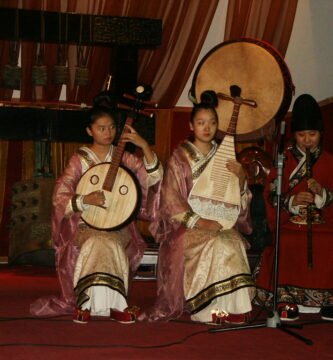 Musical instrument at a concert