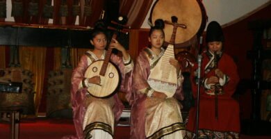 Musical instrument at a concert