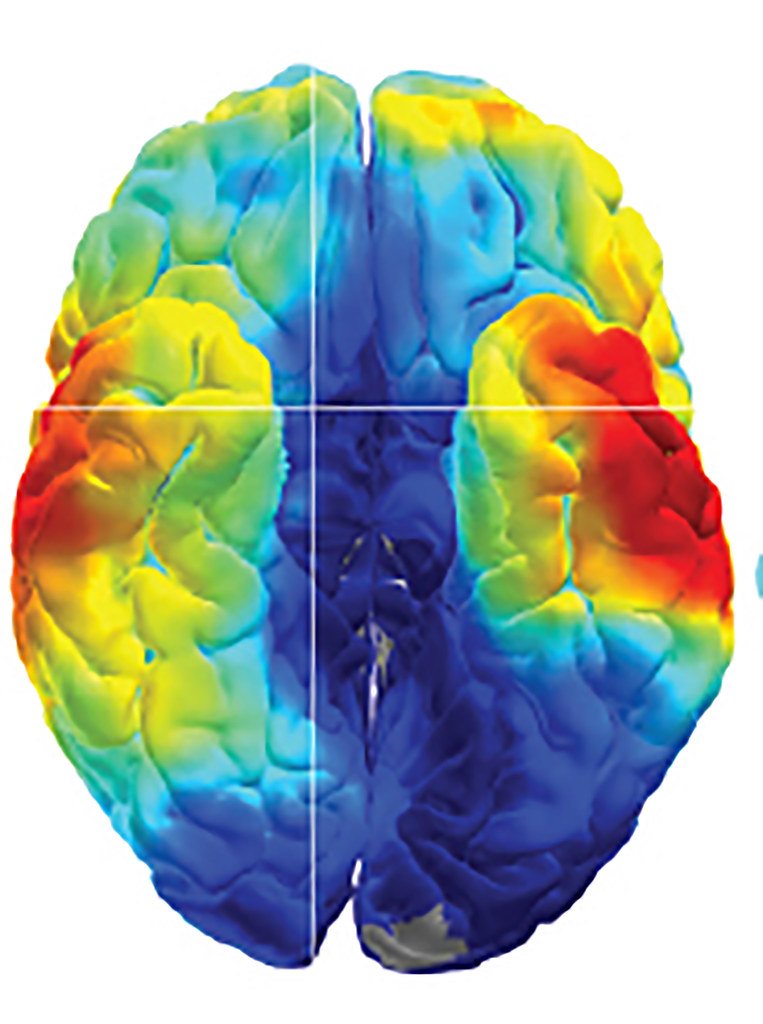 Scientific illustration of the human brain and its neural connections