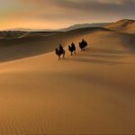 Camel caravan crossing the desert along the ancient Silk Road