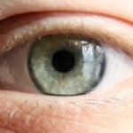 Close-up of a human eye with focus on the iris