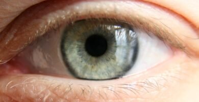 Close-up of a human eye with focus on the iris
