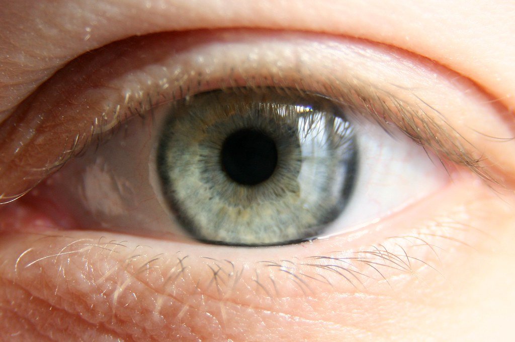 Close-up of a human eye with focus on the iris