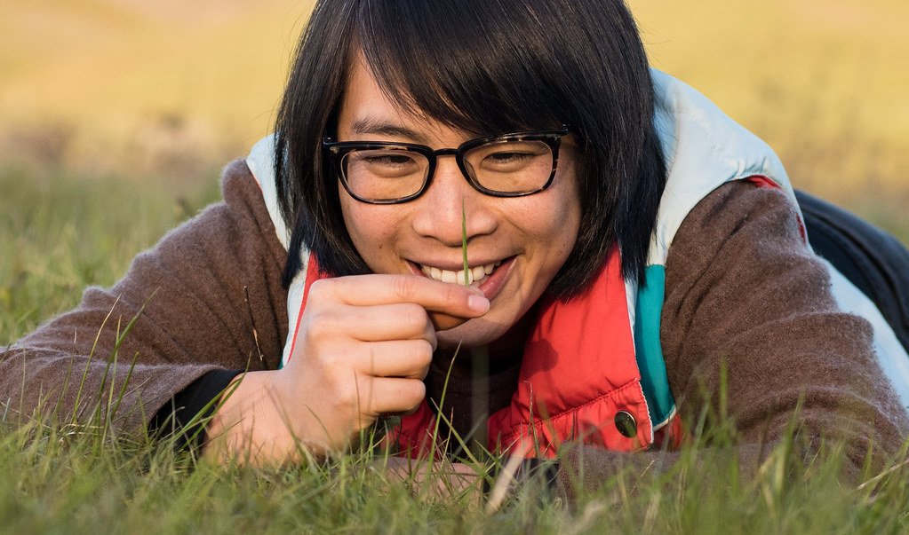 Whole grain field, a source of dietary fiber