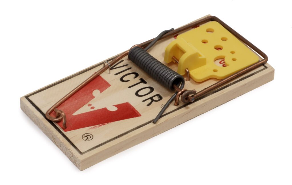 Traditional wooden mouse trap