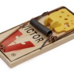 Traditional wooden mouse trap