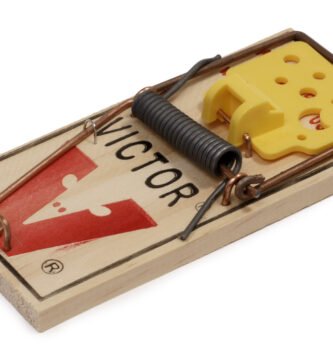 Traditional wooden mouse trap