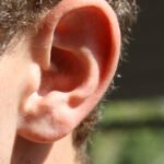 Close-up of a human ear