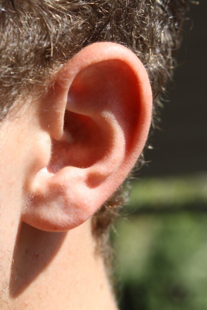 Close-up of a human ear